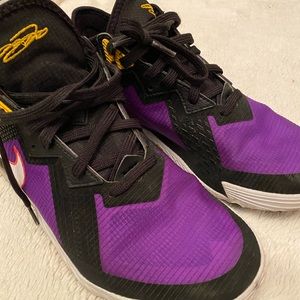 lebron shoes